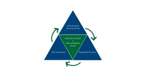 A triangle with three triangles in each corner reading Individualized Learning Goals, Repeated Practice, and Self-Assessment. Joining those three triangles is a forth one in the center that says Mentor-Coach+Peer-Learning Group.